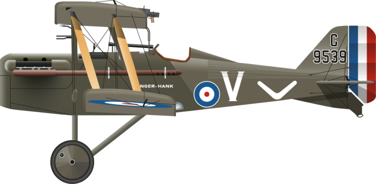 SE.5a C9539 Henry Garnet Forrest Left
