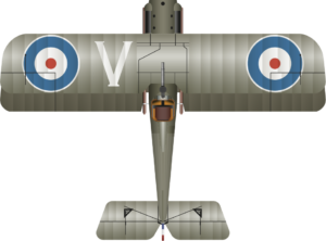 SE.5a C9539 Henry Garnet Forrest Top