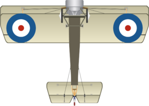 Sopwith Pup B1795 Algeron Bird Bottom