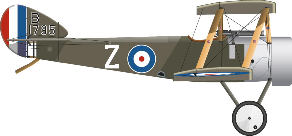 Sopwith pup B1795 Algeron Bird Right