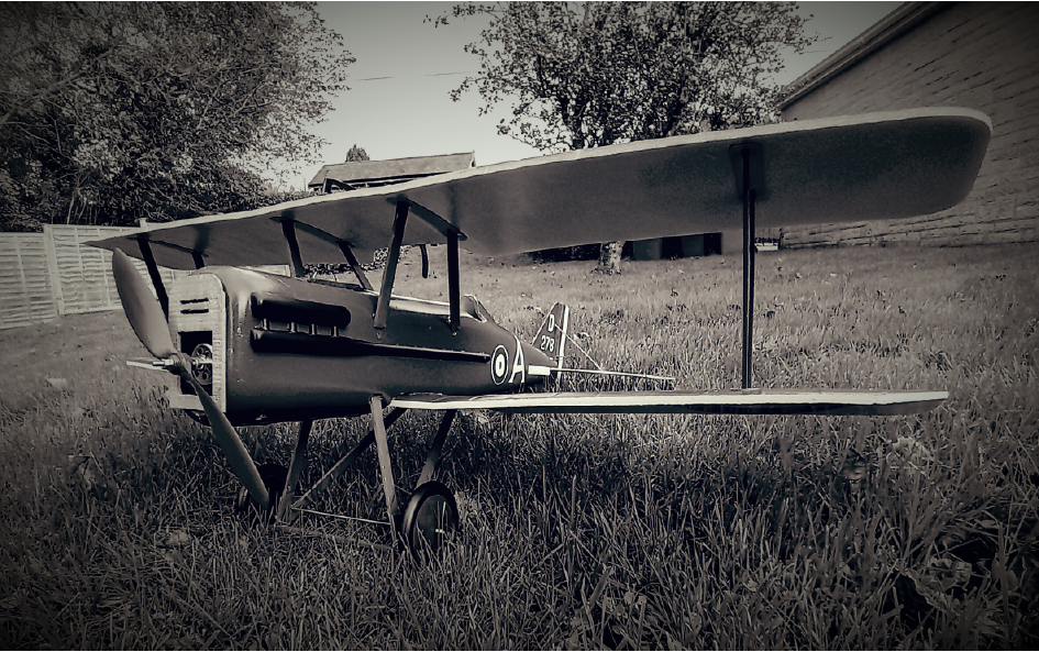 SE.5a D278 #1