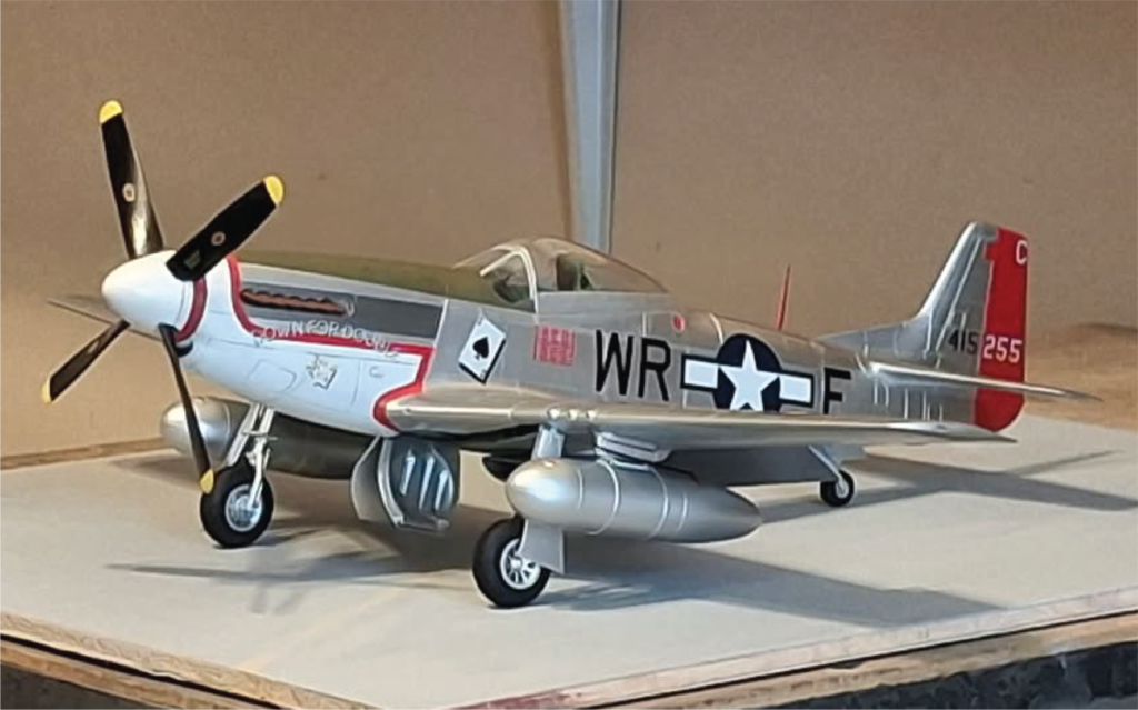 P51D Down for Double #1
